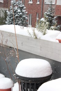Jetzt echt? Neuerlicher Wintereinbruch im März?