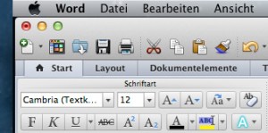 Der Schriftgrad unter MS Word 2011: Hier liegt er bei 12. Aber 12 was?