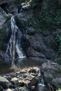 Saig August 2015 web-3649