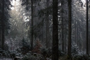 Saig Dezember 2015-Januar 2016 web-9699